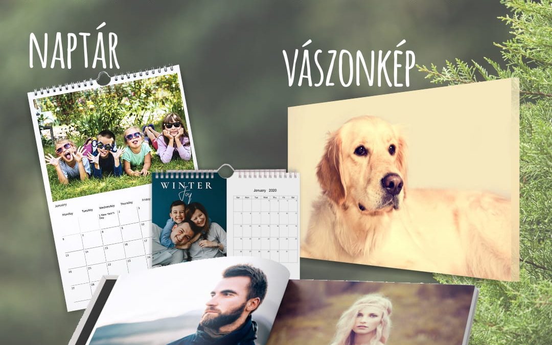 Örökzöld versenyzők
