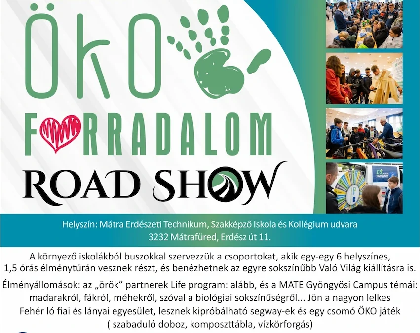 🌍 Kis ökoforradalom is ökoforradalom!! 🌍